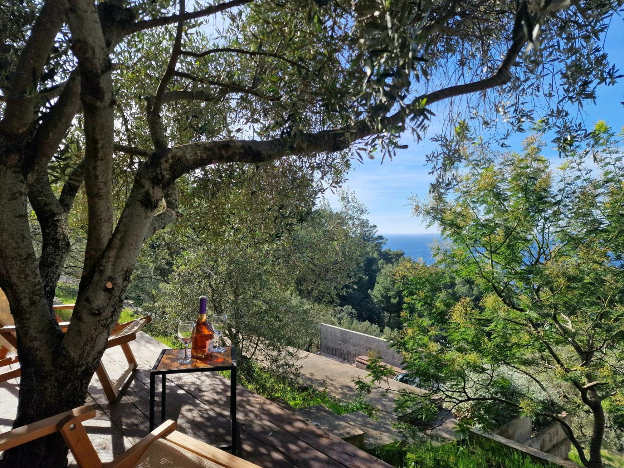 Holiday Home Maslinova Vela Luka Esterno foto